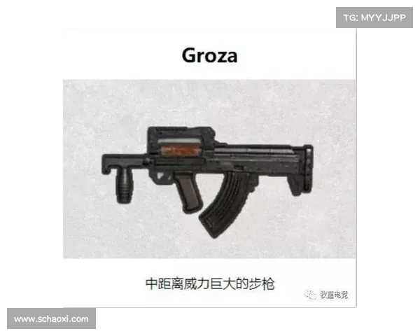 合法购枪与防身器材全流程解析及家庭携带储存与安全使用要点指南 合法购枪与防身器材全流程解析及家庭携带储存与安全使用要点指南