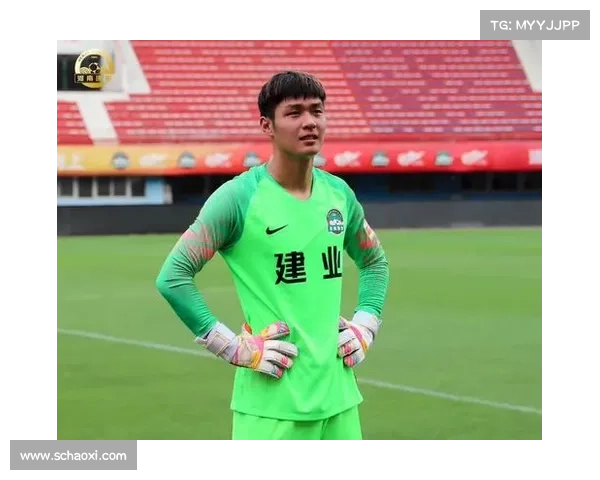 建业足球俱乐部的运作模式与功能分析及其在中国足球发展中的角色