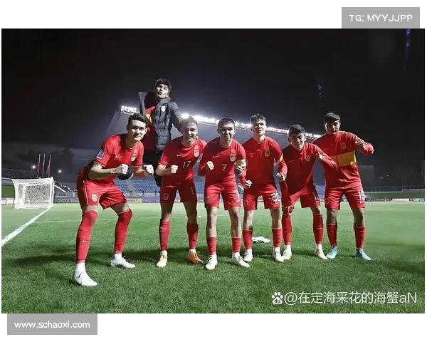 明年中国队各项赛事全面分析与备战展望